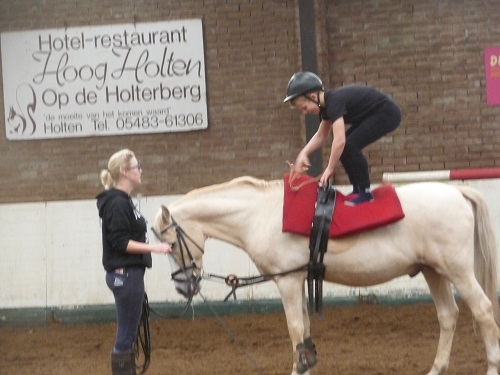 ponykamp