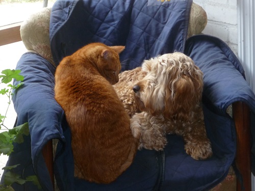 Dikkie Dik en Lisa