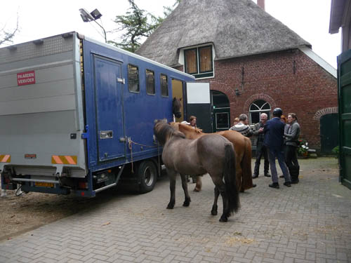 Buitenrit