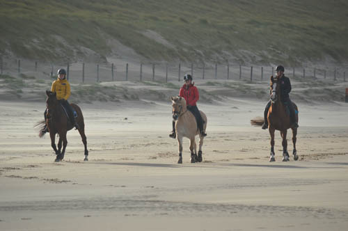 Strandrit