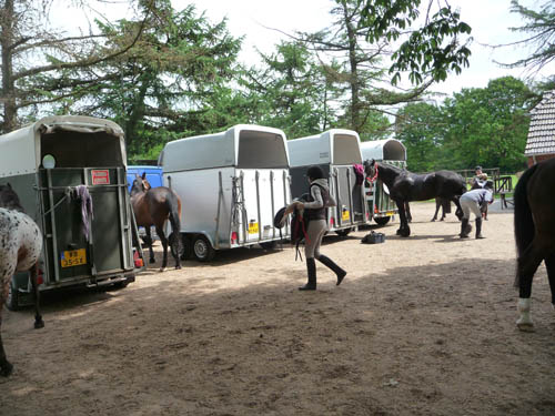 Buitenrit
