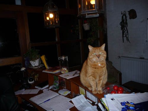 Poes