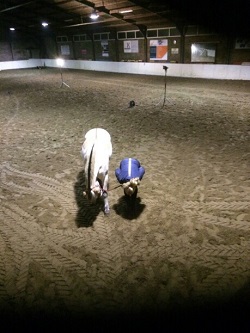Pjotr en Jeanine